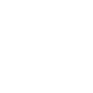 Alameen-Logo