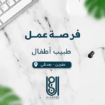 منظمة الأمين