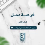 منظمة الأمين